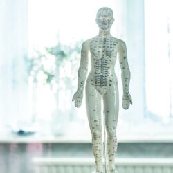 kinesisk medicin i helheds-HUSET