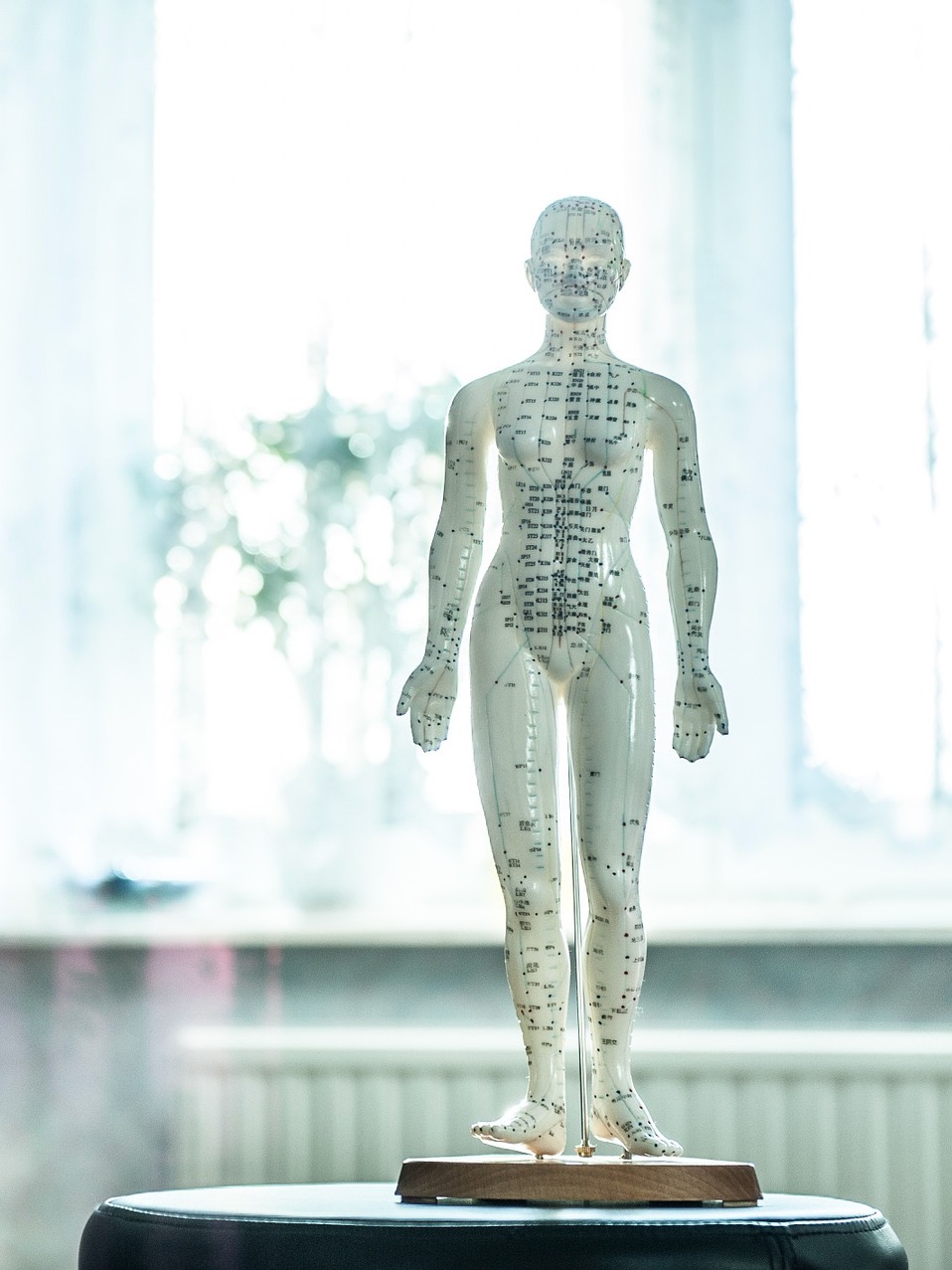 kinesisk medicin i helheds-HUSET
